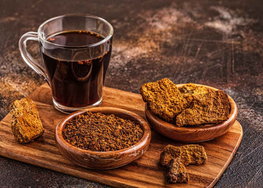 Chaga : Le Champignon Antioxydant pour Renforcer Votre Immunité et Booster Votre Vitalité