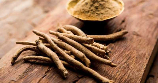 ashwagandha poudre plante medicinale