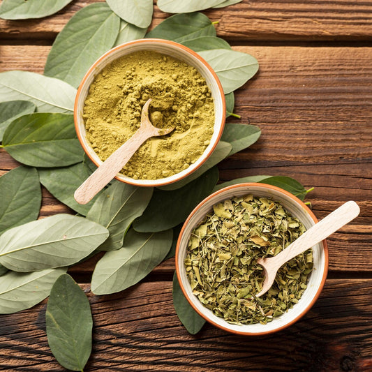 The Green Flame: Why Moringa Is the Perfect Daily All