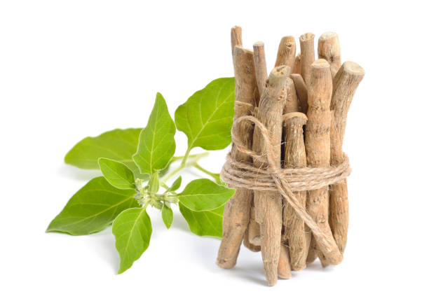 Ashwagandha: Powerful Ally or Plant to Handle With Care?