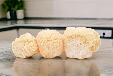 Lion’s Mane: The Natural Ally for Mental Performance