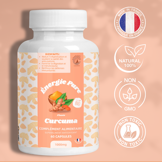 provenance naturel curcuma curcumine 